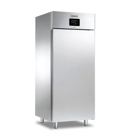 Шкаф за контролирано втасване, 40 тави 600x400 или 20 тави 600x800, BAKERY CAB FL 100 Everlasting Шкаф за контролирано втасване, 40 тави 600x400 или 20 тави 600x800, BAKERY CAB FL 100 Everlasting